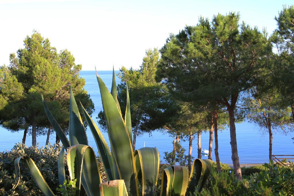 Hotel Capo Sud ลาโกนา ภายนอก รูปภาพ